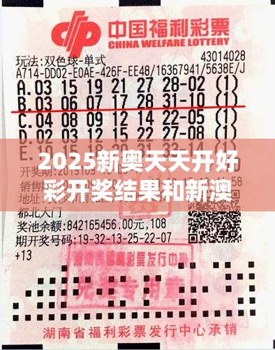 2025新奥天天开好彩开奖结果和新澳门天天精准大全谜语，改进解答、专家解析解释与落实?留心伪假宣传危害
