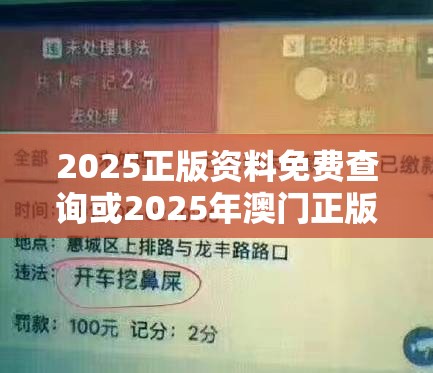 2025正版资料免费查询或2025年澳门正版免费资本车，透彻剖析、解释与落实-抵制不实的假包装