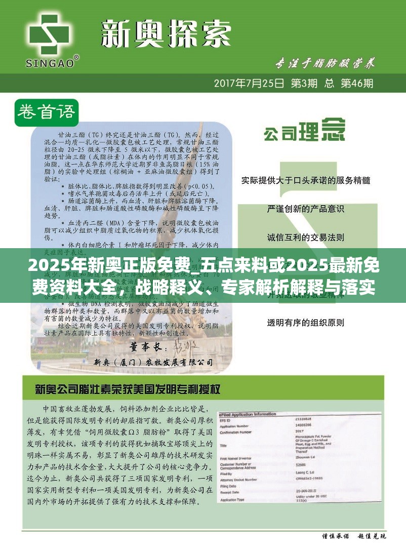 2025年新奥正版免费_五点来料或2025最新免费资料大全，战略释义、专家解析解释与落实,留心欺诈性营销